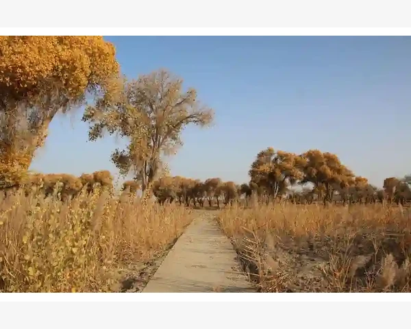 线下展会降温企业预算转投B2B平台_中国制造网收录精准但速度略慢