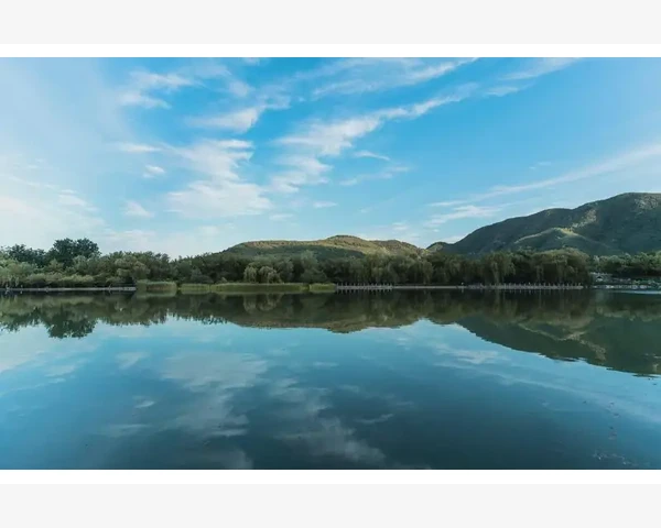 MT4市价单滑点真相与限价单控损技巧_滑点产生的底层逻辑是什么