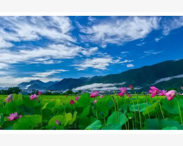 B2B外贸网站排名指标与选择要领_首页导航与信息层级要符合采购逻辑