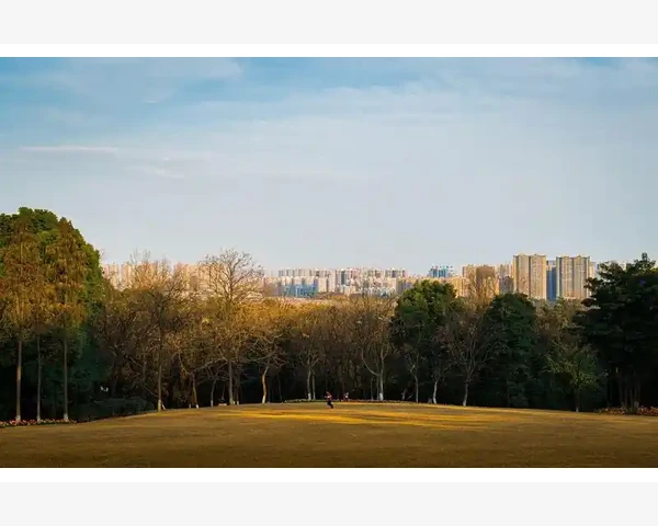 国际贸易B2B平台如何助力企业出海_中国制造网专注外贸出口的B2B平台