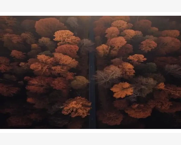 国际免费B2B网站实用推荐与使用技巧_国际免费B2B网站实用推荐与使用技巧