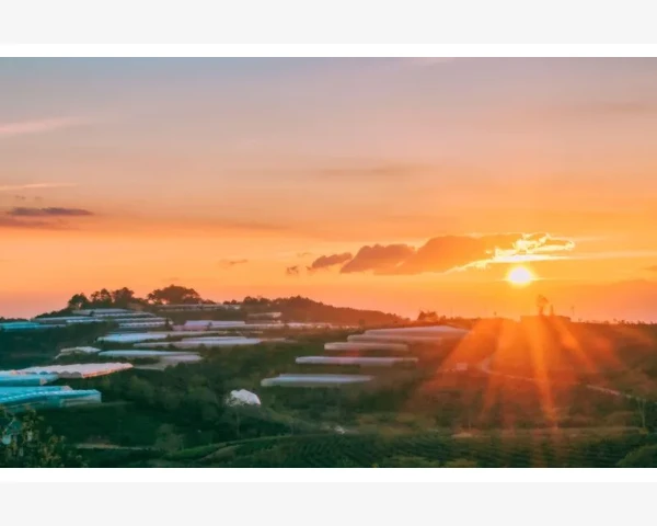 日常盯盘MT4这些数据够用了别整太花哨_模板文件存储位置与管理技巧