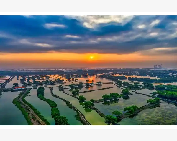 管道爬行机器人动力电池续航与维护全要点_管道爬行机器人动力电池续航与维护全要点