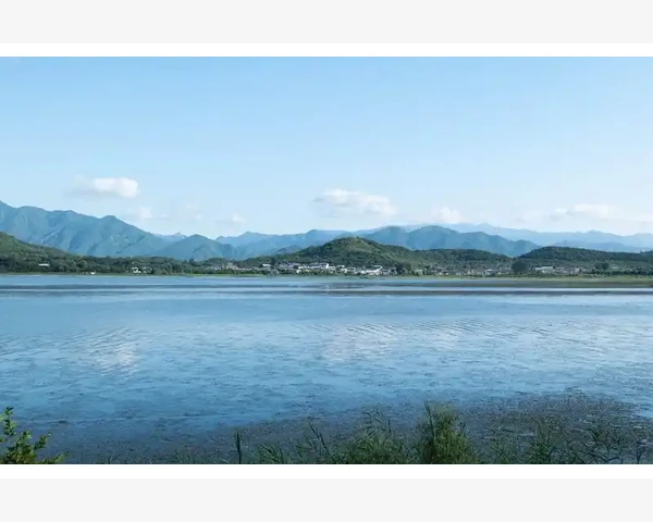 MT4品种列表高效整理术让交易界面清爽高效_MT4品种列表高效整理术让交易界面清爽高效