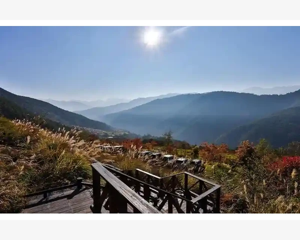 用遗憾问卷套出B2B丢单真相_域名与服务器是地基别图便宜