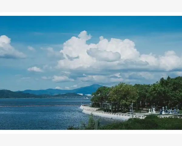 数字化浪潮下B2B金融供应链如何赋能中小企业_数据驱动决策助力企业长期增长