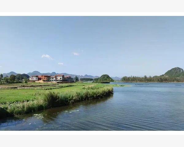 食材B2B平台选品与供应链实操要点_市场拓展与竞争格局的差异