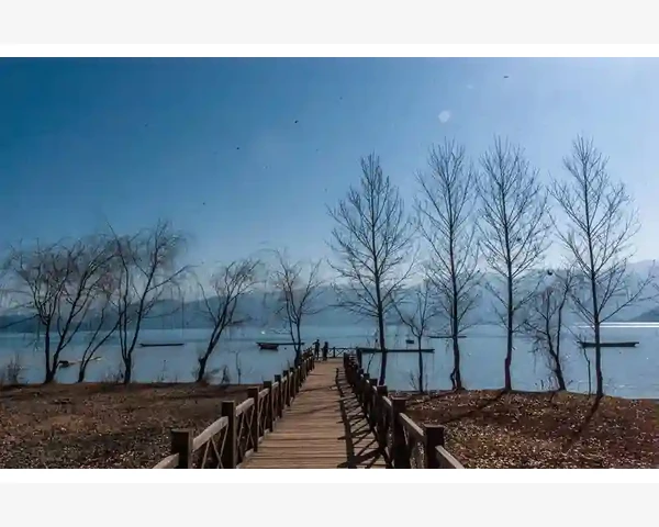 数据驱动的精准匹配与信任机制_跨境B2B样品快递关税预付与收方付哪个更能促成交