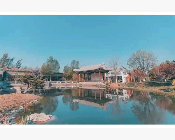 MT4交易历史文件导出实操流程详解_数据中断的常见原因与现象